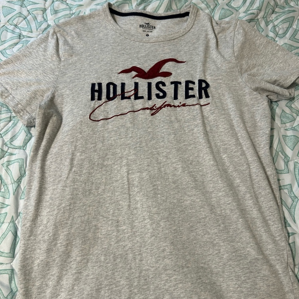 Hollister T-Shirt 🦢